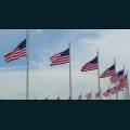 patriotic219.jpg