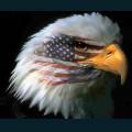 patriotic22.jpg
