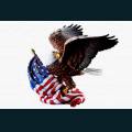 patriotic236.jpg