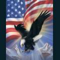 patriotic40.jpg