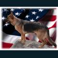 patriotic56.jpg