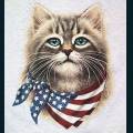 patriotic67.jpg