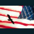 patriotic79.jpg