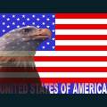 patriotic81.jpg