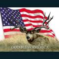 patriotic83.jpg