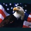patriotic9.jpg
