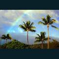 rain-bow-17.jpg