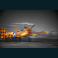 sel-163.jpg