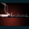 smoke-2-11.jpg