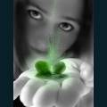 st-patty-3.jpg