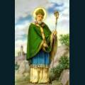 st-patty-33.jpg