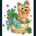 st-patty-38.jpg