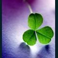 st-patty-53.jpg