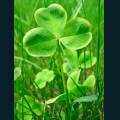 st-patty-60.jpg