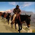 Western-94.jpg