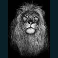 wildlife-09.jpg