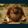 wildlife-16.jpg