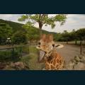 wildlife-20.jpg