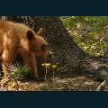 wildlife-24.jpg