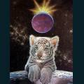 wildlife-28.jpg