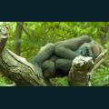 wildlife-36.jpg