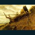 wildlife-43.jpg