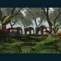 wildlife-48.jpg