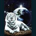 wildlife-59.jpg