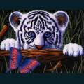 wildlife-61.jpg