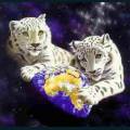 wildlife-62.jpg