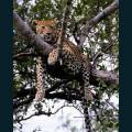 wildlife-67.jpg