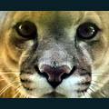 wildlife-75.jpg