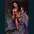 wolf-1.jpg