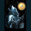 wolf-11.jpg