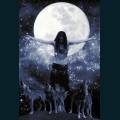 wolf-2.jpg
