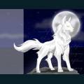 wolf-3.jpg