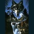 wolf-4.jpg