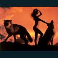 wolves-1.jpg