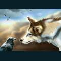 wolves-12.jpg