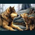 wolves-13.jpg