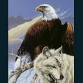 wolves-15.jpg