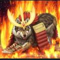 wolves-48.jpg