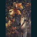 wolves-51.jpg