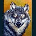 wolves-57.jpg