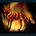 wolves-59.jpg