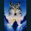 wolves-6.jpg