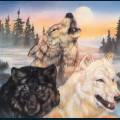wolves-60.jpg