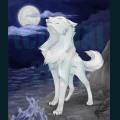 wolves-64.jpg