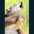 wolves-67.jpg