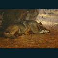 wolves-75.jpg